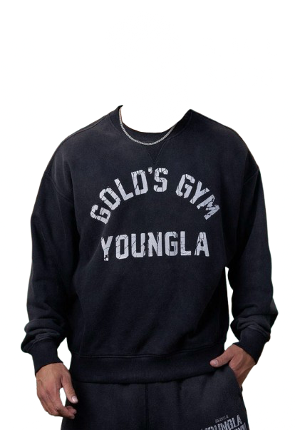 GOLD'S IRON LEGACY VINTAGE CREWNECKS