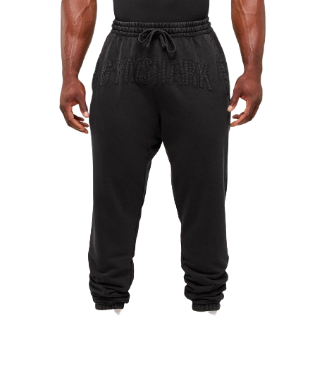 Power Washed Jogger